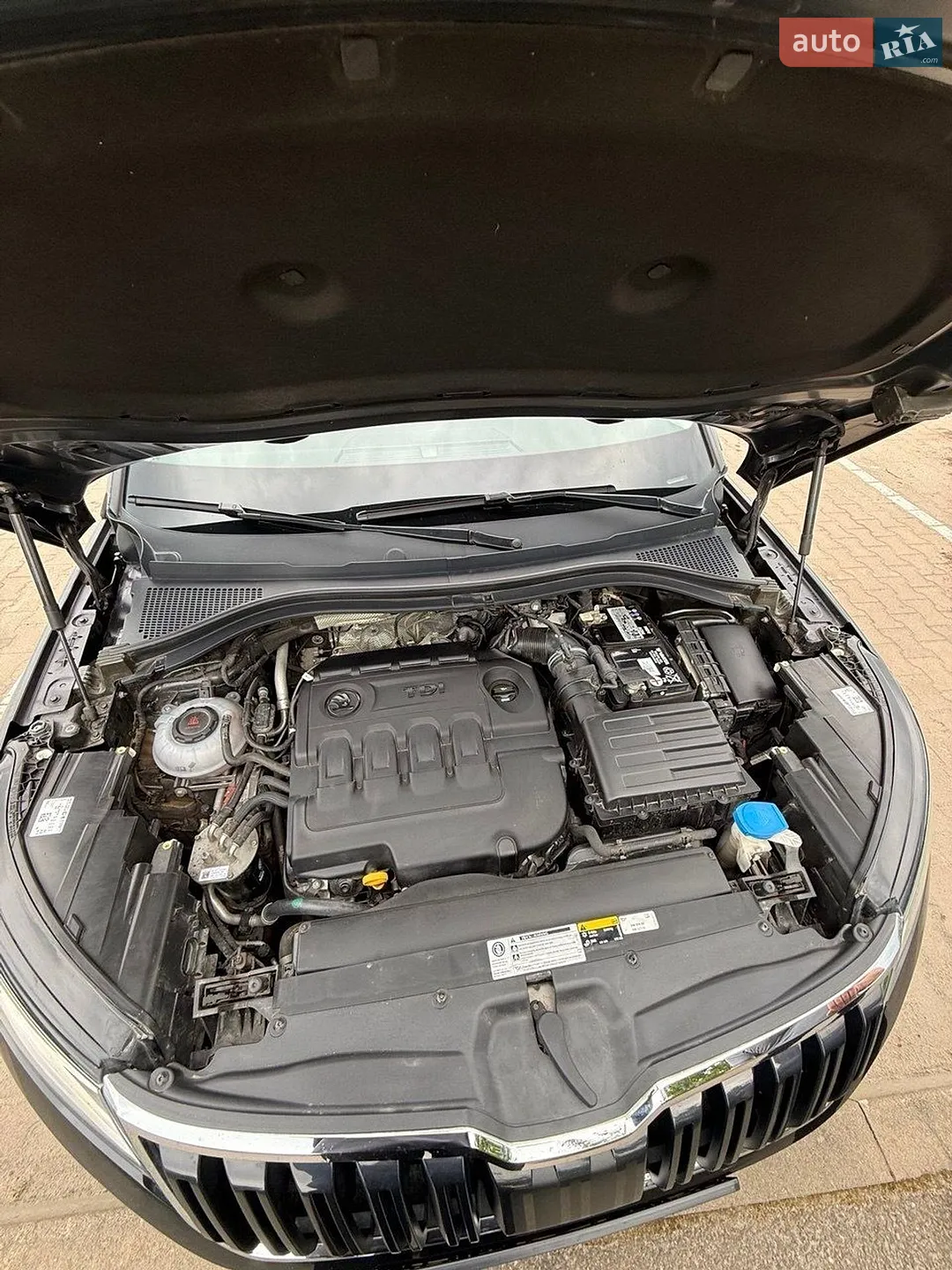 2019 Skoda Kodiaq - мініатюра 12