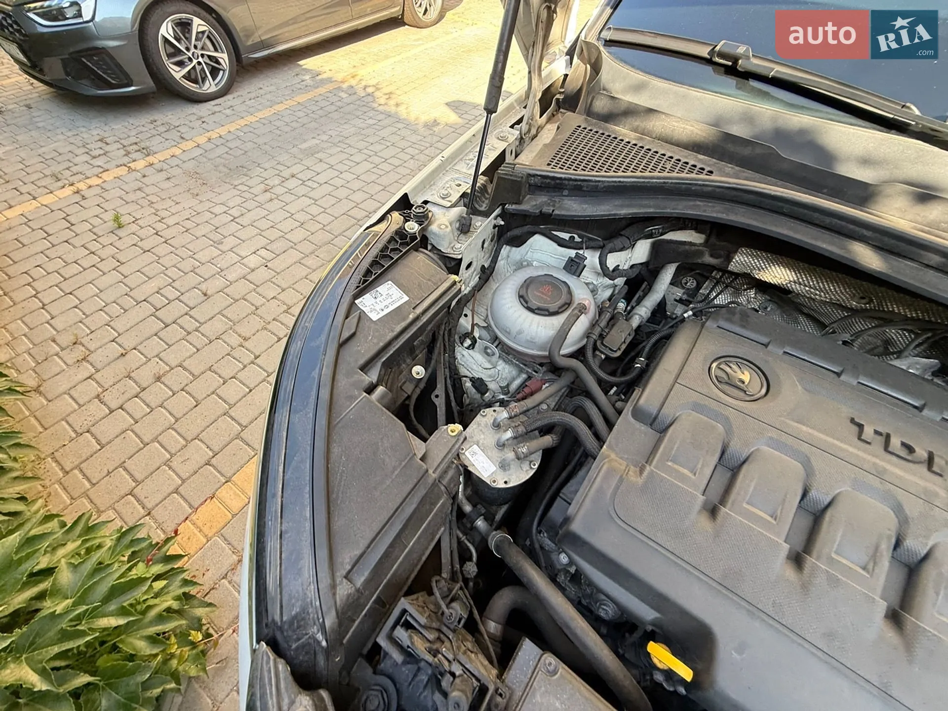 2019 Skoda Kodiaq - мініатюра 82