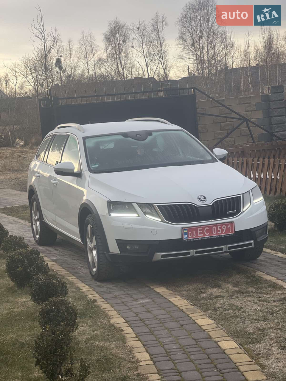 2019 Skoda Octavia - мініатюра 100