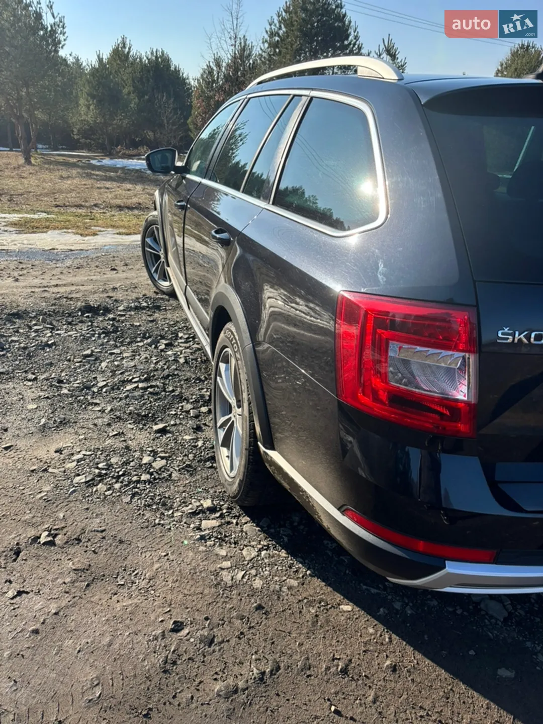 2016 Skoda Octavia - мініатюра 4