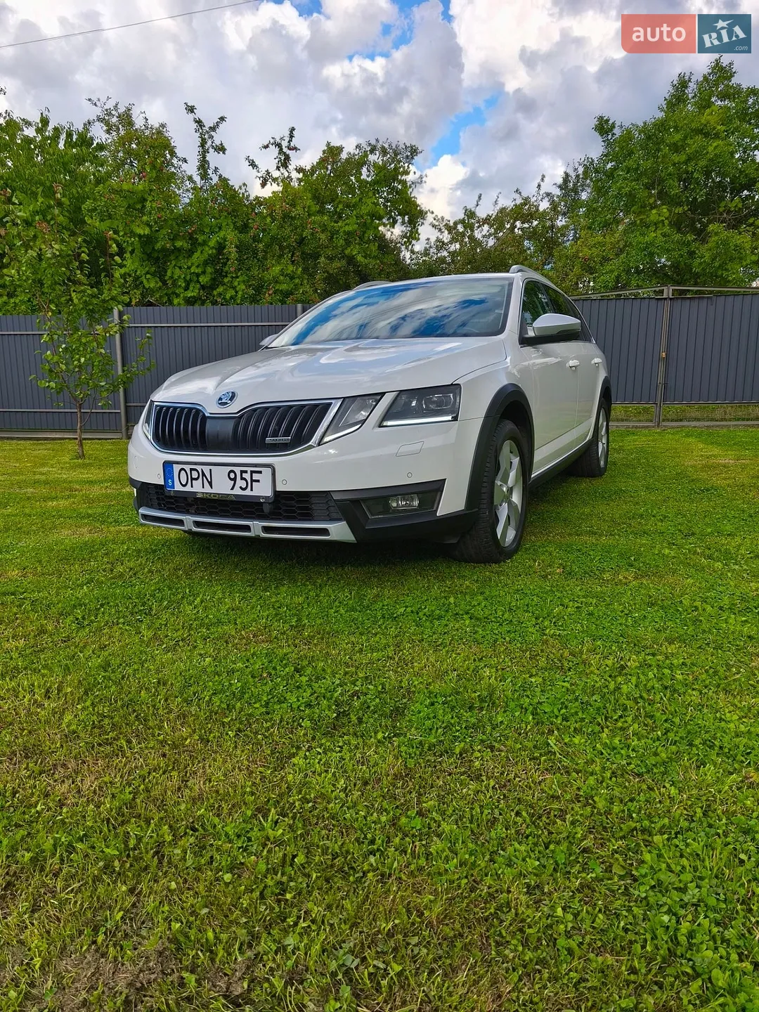2019 Skoda Octavia - мініатюра 4