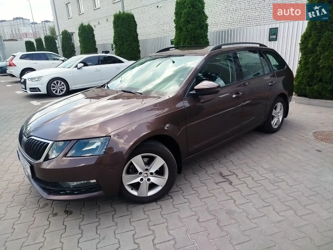 2017 Skoda Octavia - мініатюра 4