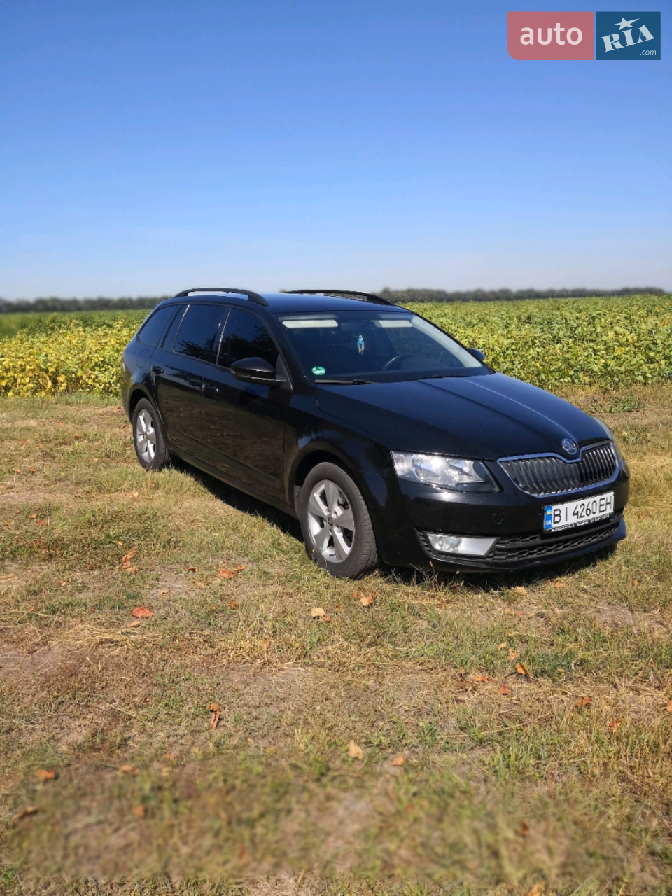 2013 Skoda Octavia - мініатюра 38