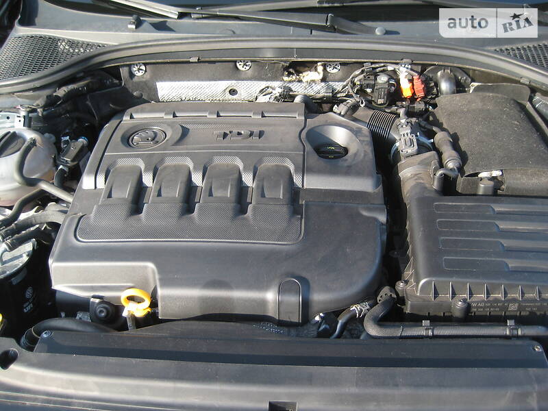 Універсал Skoda Octavia 2015 в Бердичеві