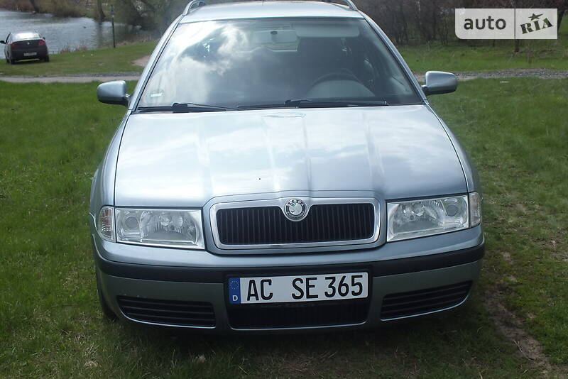 Универсал Skoda Octavia 2001 в Шишаки фото Универсал Skoda Octavia 2001 в Шишаки