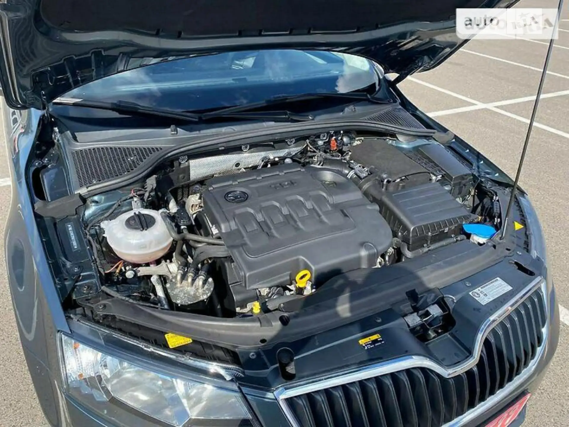 2016 Skoda Octavia - мініатюра 29