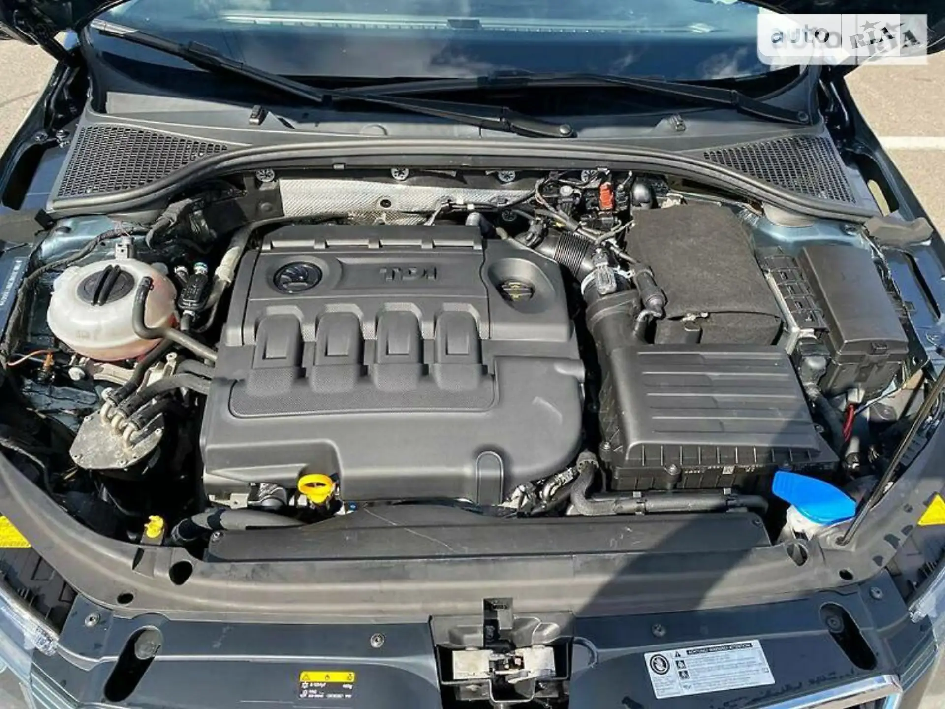 2016 Skoda Octavia - мініатюра 44