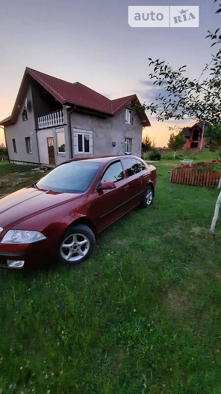 Ліфтбек Skoda Octavia 2004 в Новояворівську фото 21 Ліфтбек Skoda Octavia 2004 в Новояворівську