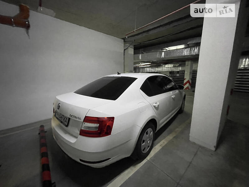 Лифтбек Skoda Octavia 2019 в Одессе