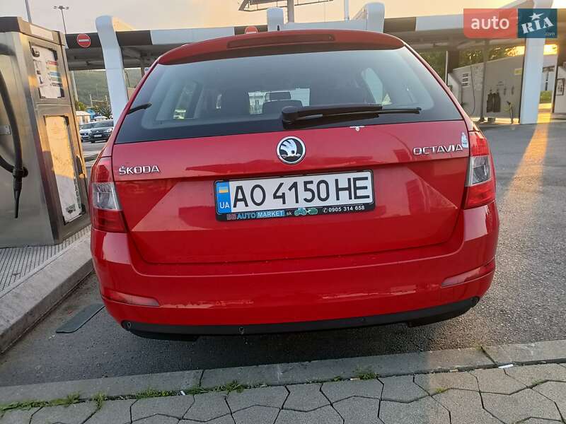 Універсал Skoda Octavia 2013 в Ужгороді
