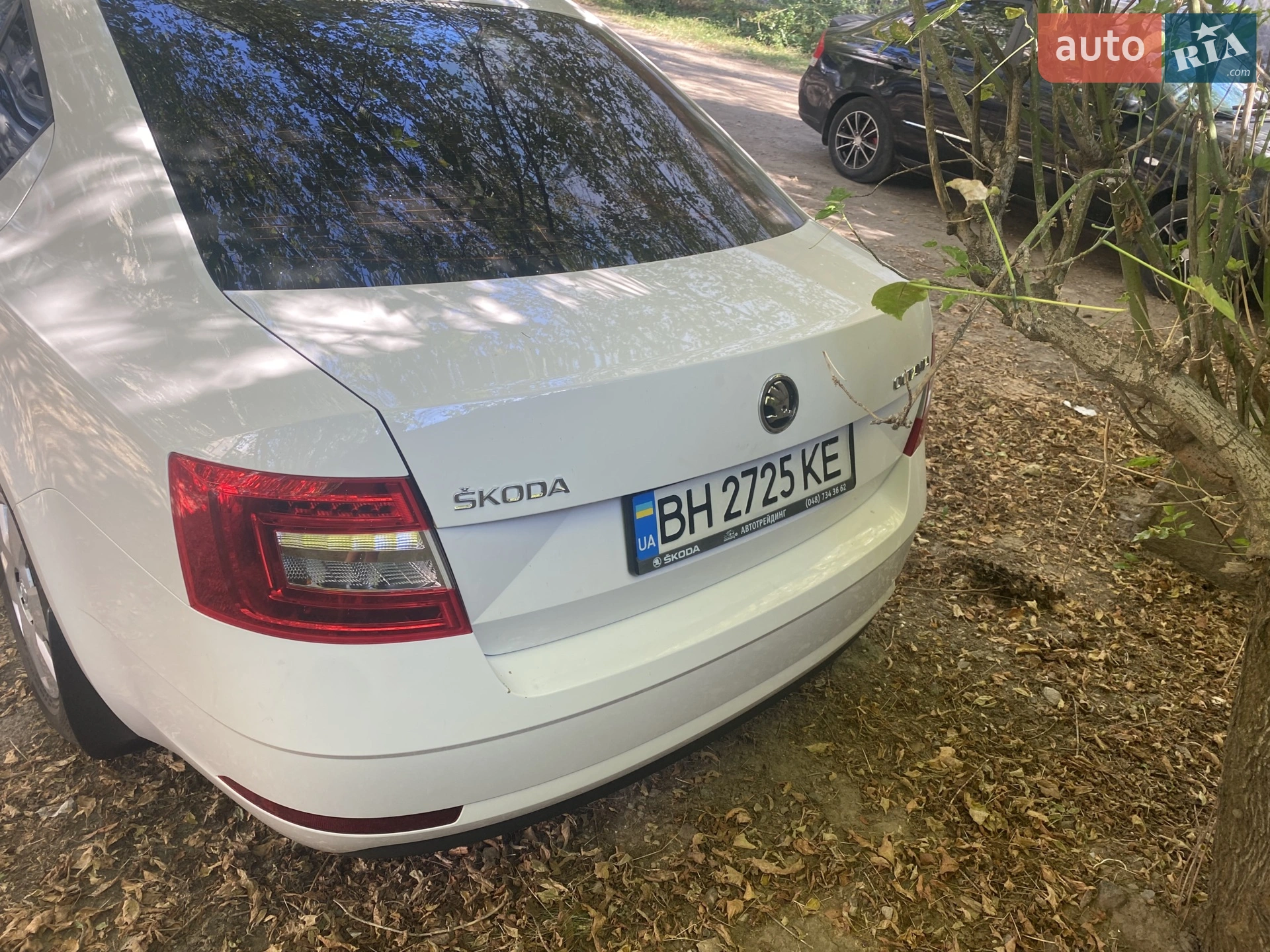 2019 Skoda Octavia - мініатюра 3