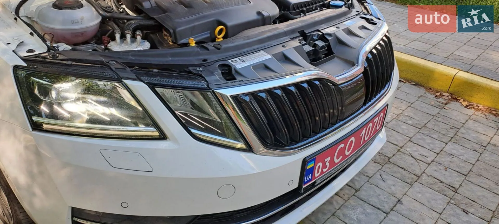 2019 Skoda Octavia - мініатюра 8