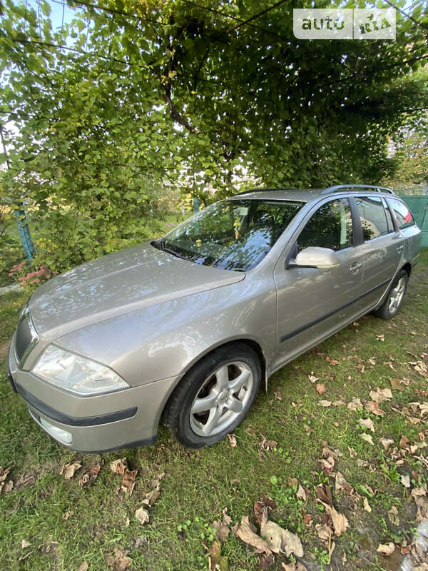 Универсал Skoda Octavia 2007 в Радивилове