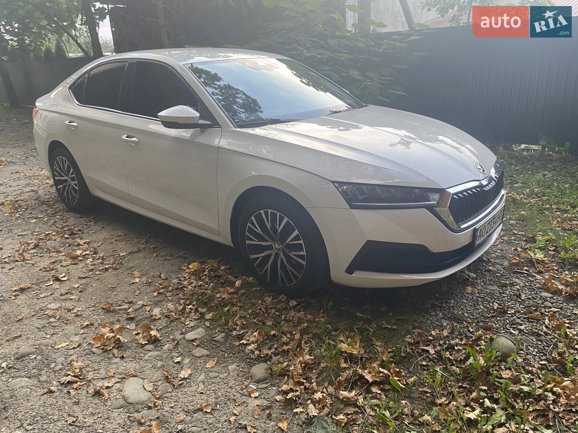 2020 Skoda Octavia - мініатюра 2