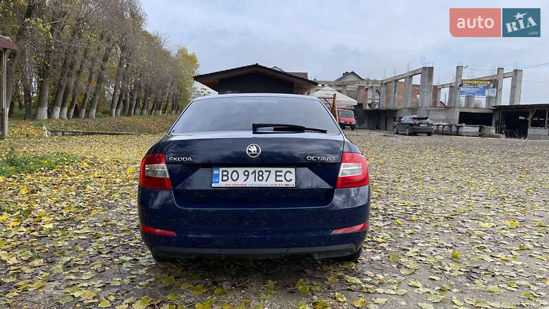 Лифтбек Skoda Octavia 2013 в Тернополе фото 7 Лифтбек Skoda Octavia 2013 в Тернополе