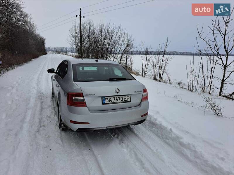 Ліфтбек Skoda Octavia 2015 в Знам'янці