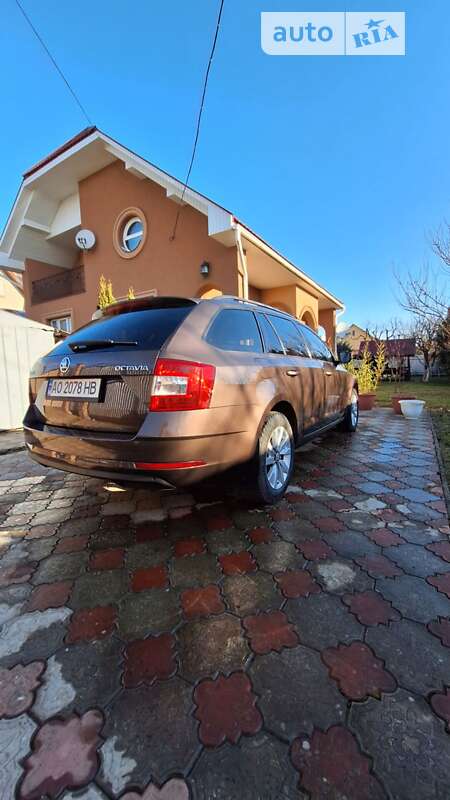 Универсал Skoda Octavia 2017 в Ужгороде