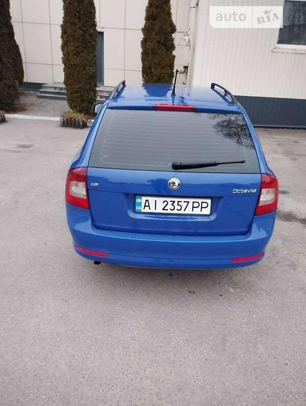 Універсал Skoda Octavia 2009 в Шполі
