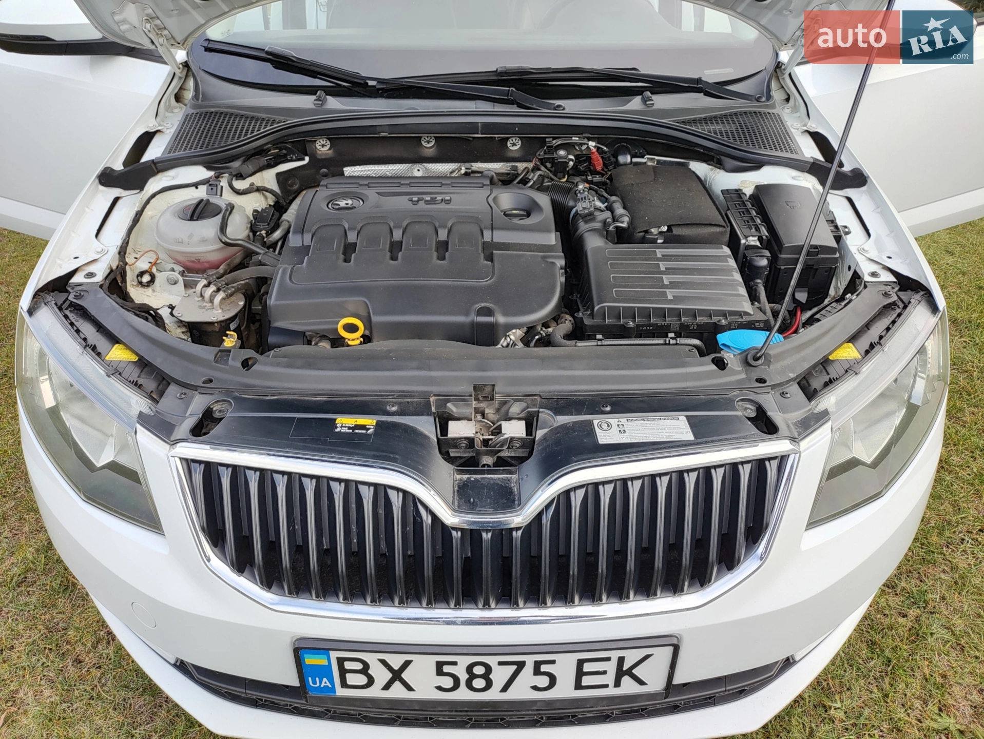 2016 Skoda Octavia - мініатюра 19