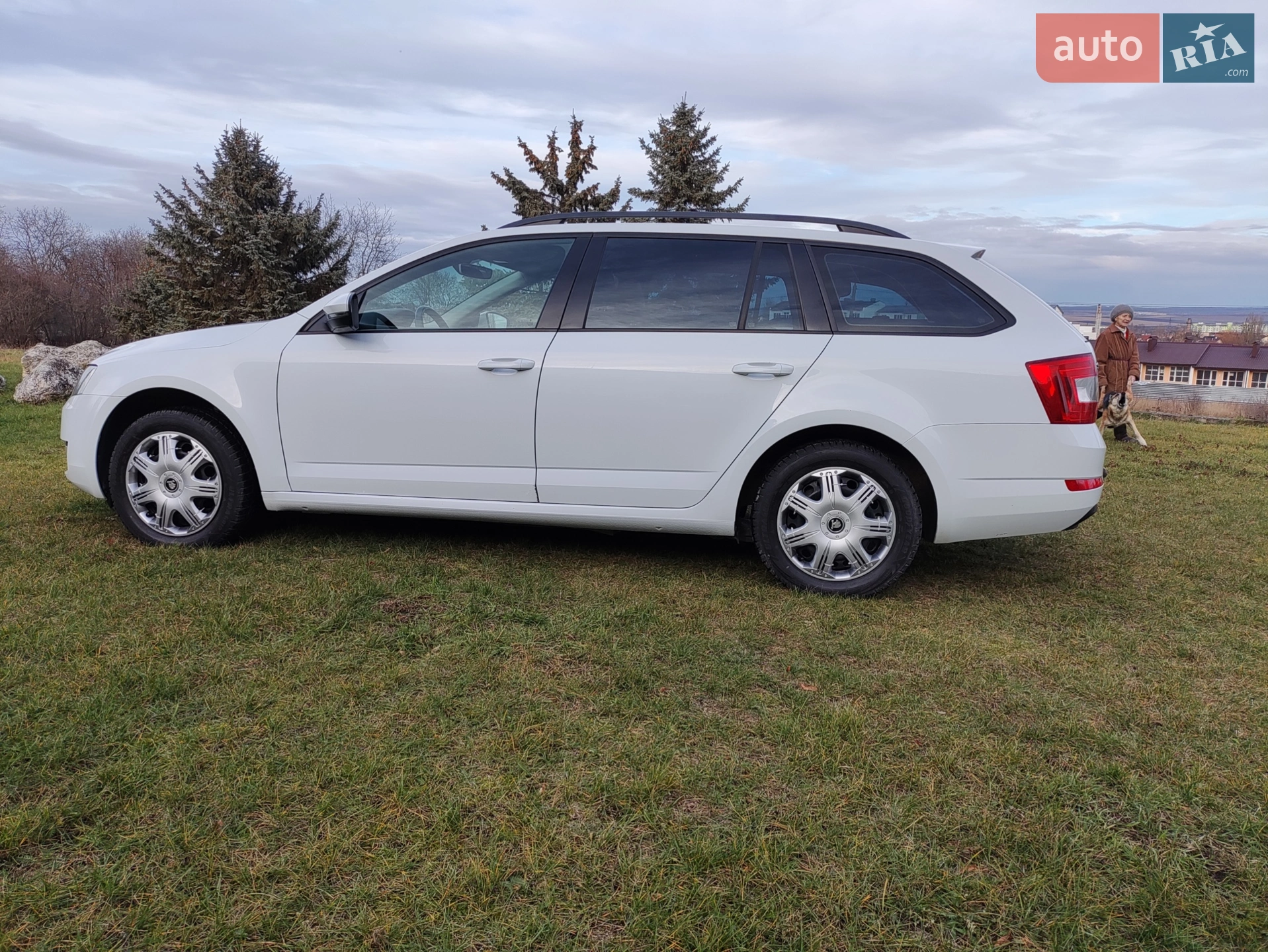 2016 Skoda Octavia - мініатюра 3