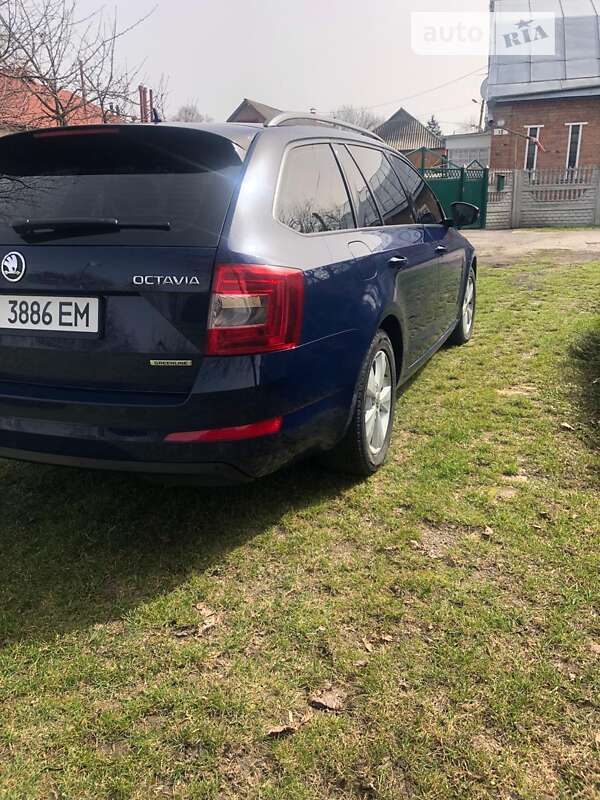 Универсал Skoda Octavia 2014 в Лубнах
