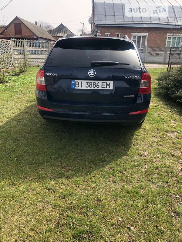 Универсал Skoda Octavia 2014 в Лубнах