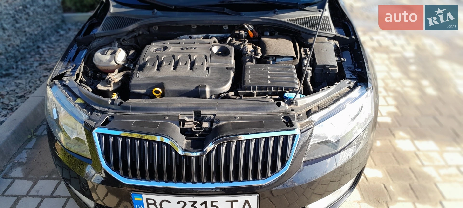 2013 Skoda Octavia - мініатюра 5