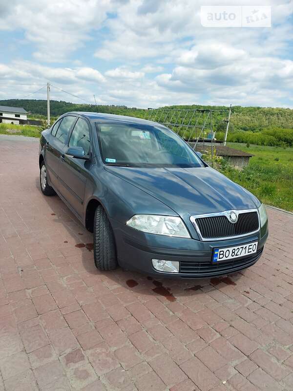 Ліфтбек Skoda Octavia 2004 в Теребовлі