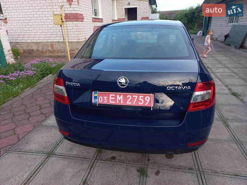 Ліфтбек Skoda Octavia 2017 в Чернігові