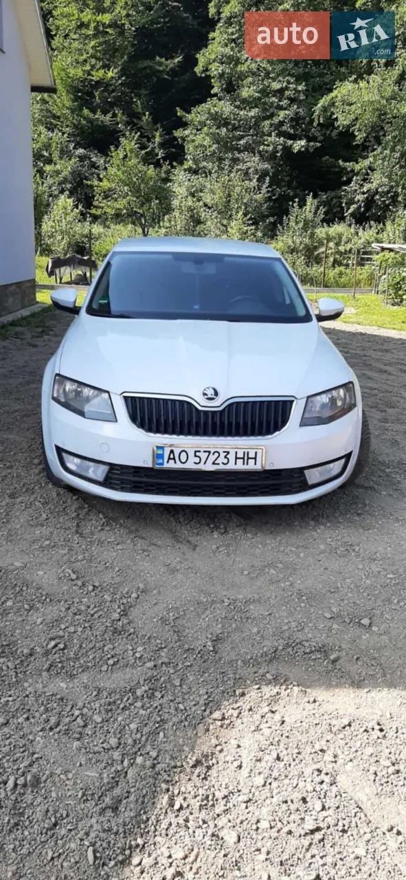 2017 Skoda Octavia - мініатюра 18