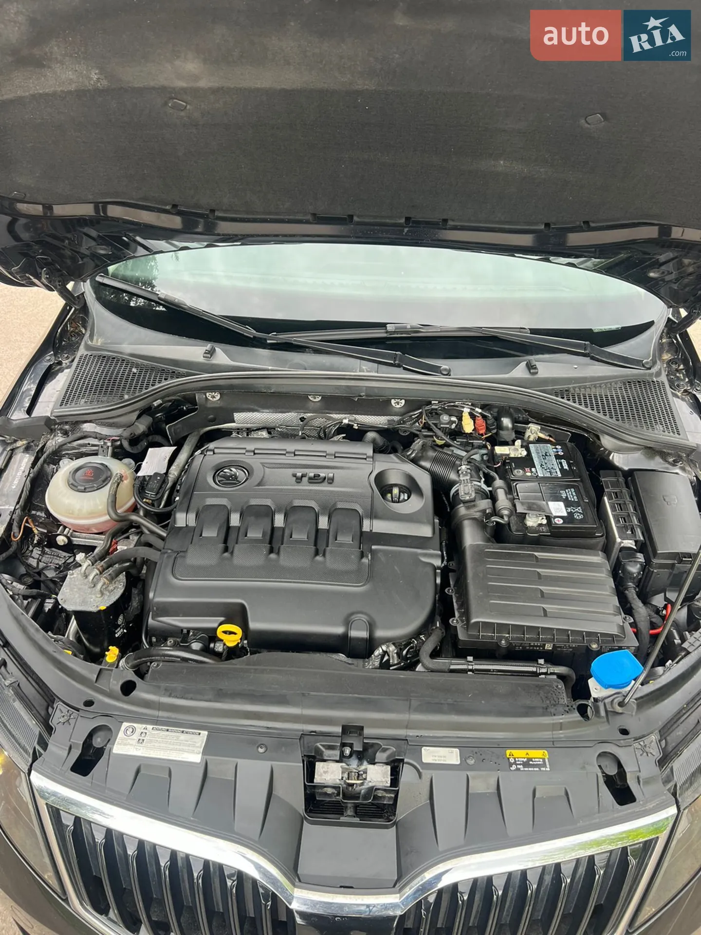 2019 Skoda Octavia - мініатюра 19