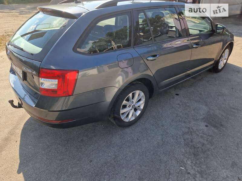 Универсал Skoda Octavia 2019 в Бородянке