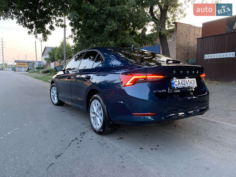 Лифтбек Skoda Octavia 2023 в Кобеляках фото 5 Лифтбек Skoda Octavia 2023 в Кобеляках
