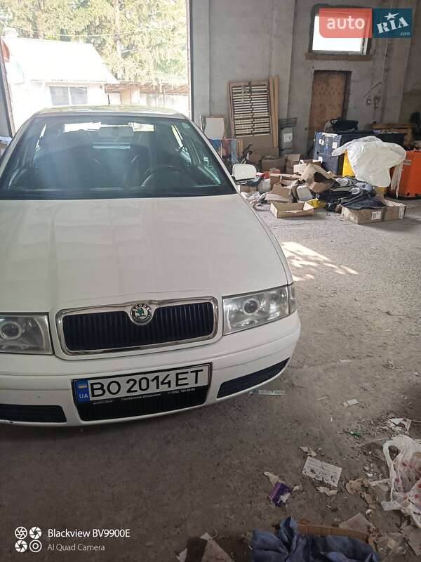 Ліфтбек Skoda Octavia 2002 в Бережанах