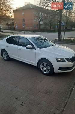Лифтбек Skoda Octavia 2020 в 