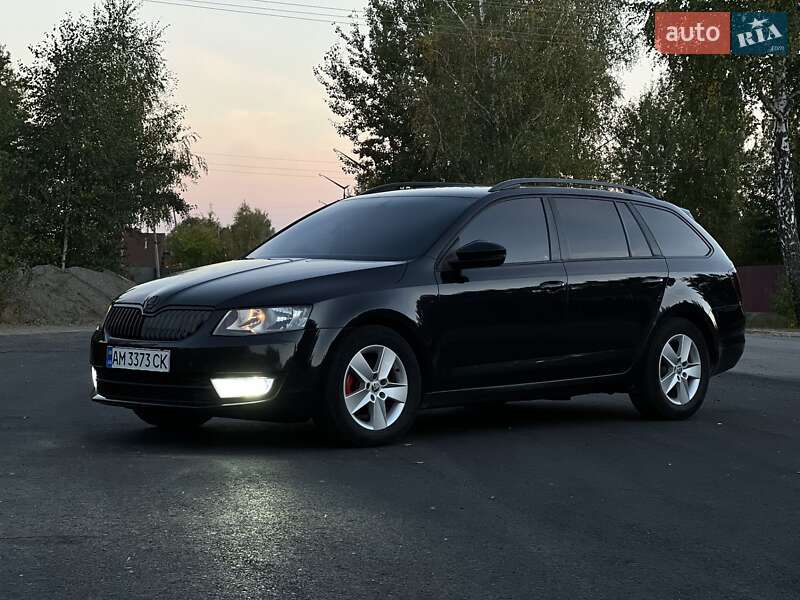 Универсал Skoda Octavia 2014 в Емильчине фото 33 Универсал Skoda Octavia 2014 в Емильчине