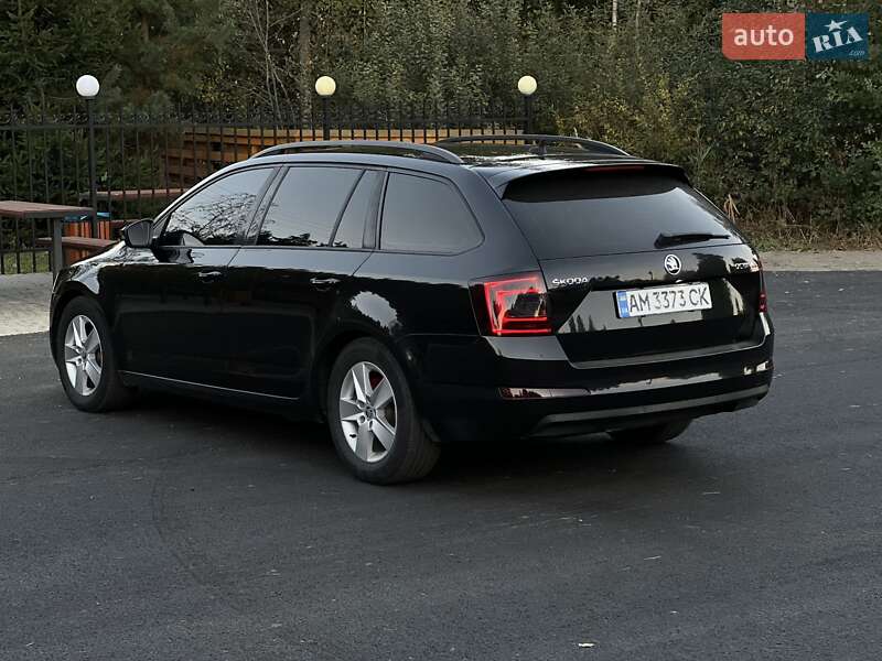 Универсал Skoda Octavia 2014 в Емильчине фото 42 Универсал Skoda Octavia 2014 в Емильчине