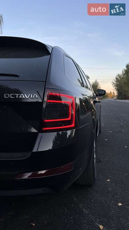 Универсал Skoda Octavia 2014 в Емильчине фото 47 Универсал Skoda Octavia 2014 в Емильчине