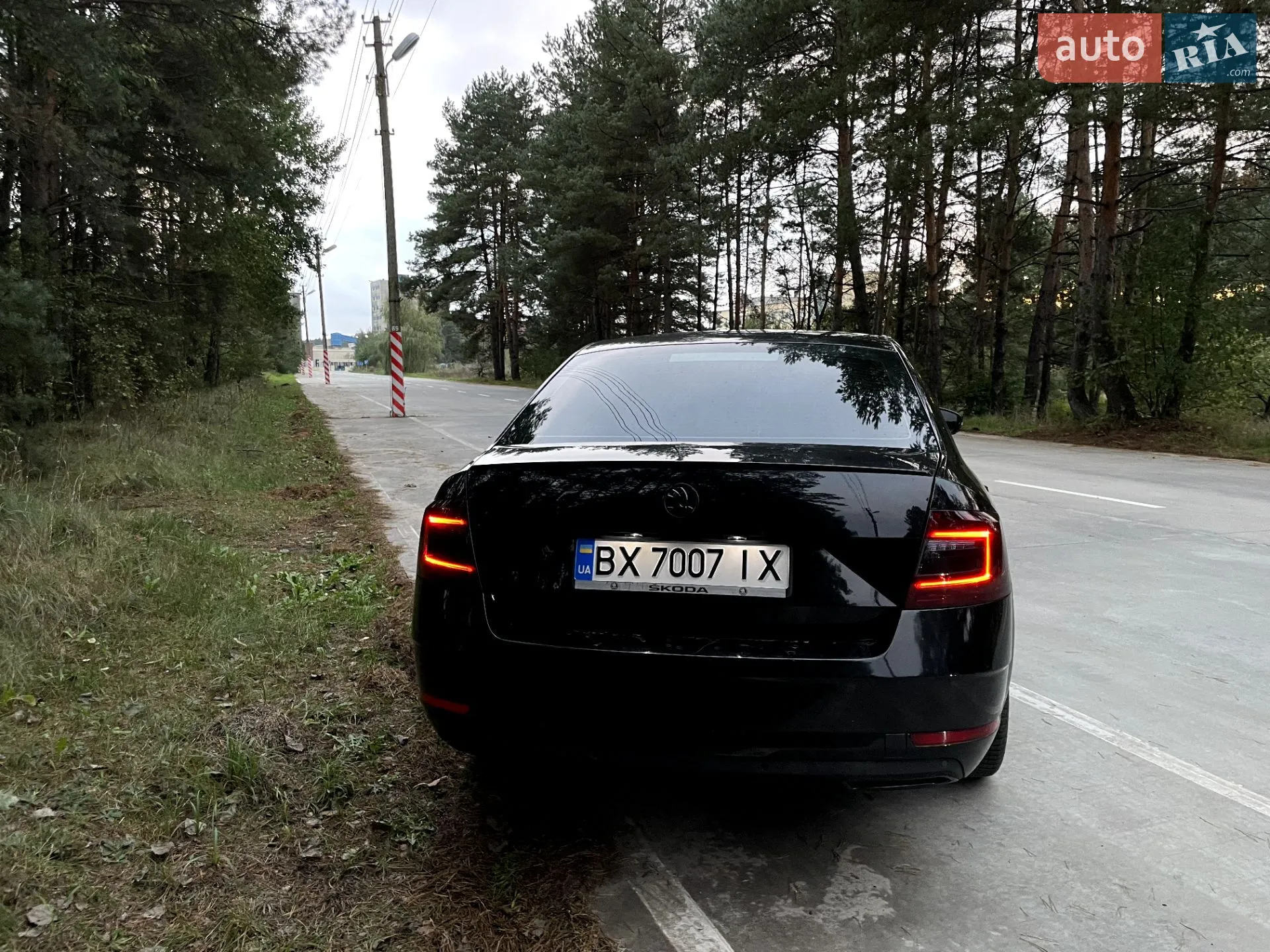 2017 Skoda Octavia - мініатюра 6