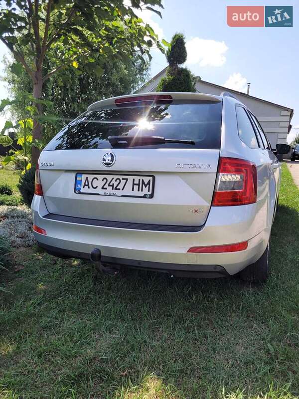 Універсал Skoda Octavia 2015 в Іваничах