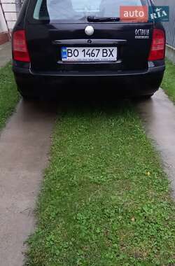 Універсал Skoda Octavia 2002 в Борщеві