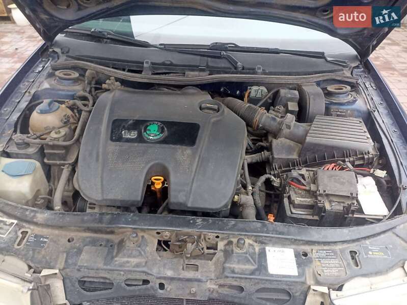 Универсал Skoda Octavia 2008 в Шепетовке