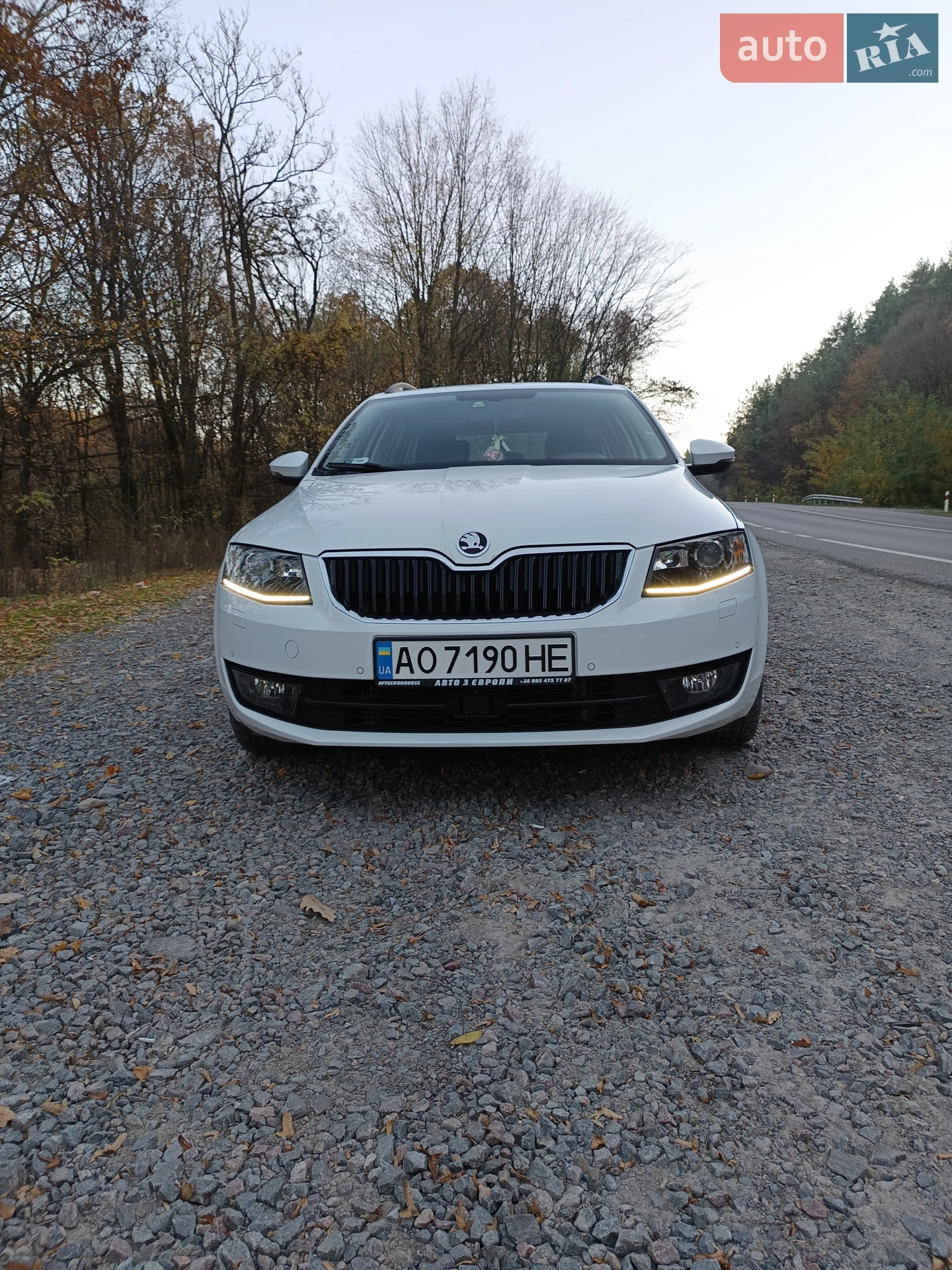 2016 Skoda Octavia - фото 1