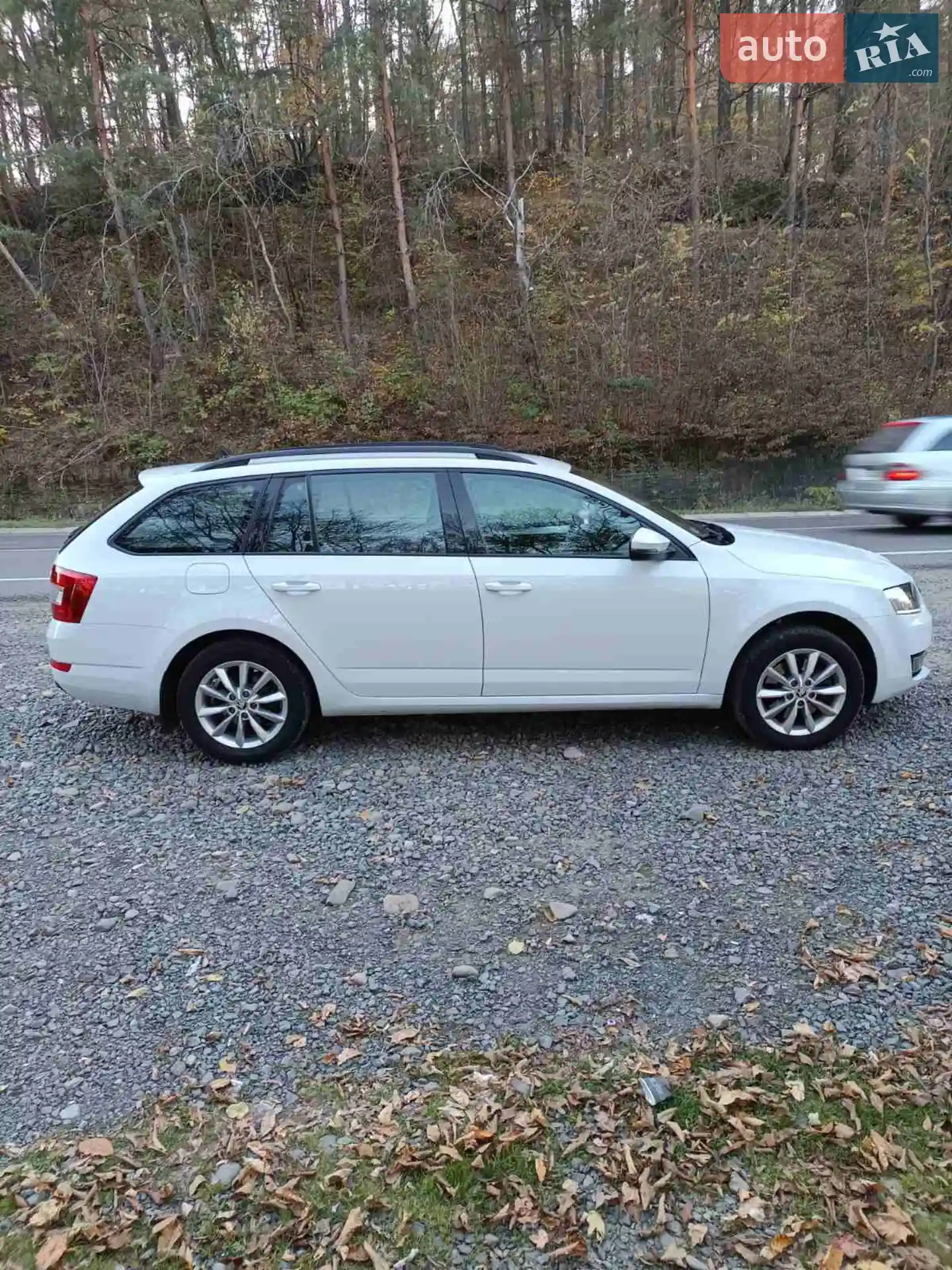 2016 Skoda Octavia - мініатюра 13