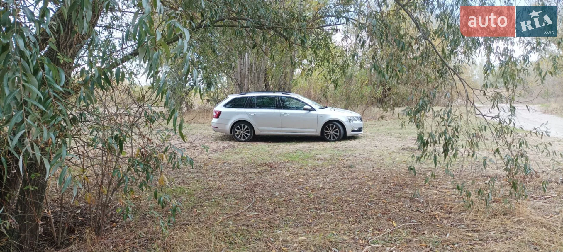 2017 Skoda Octavia - мініатюра 4