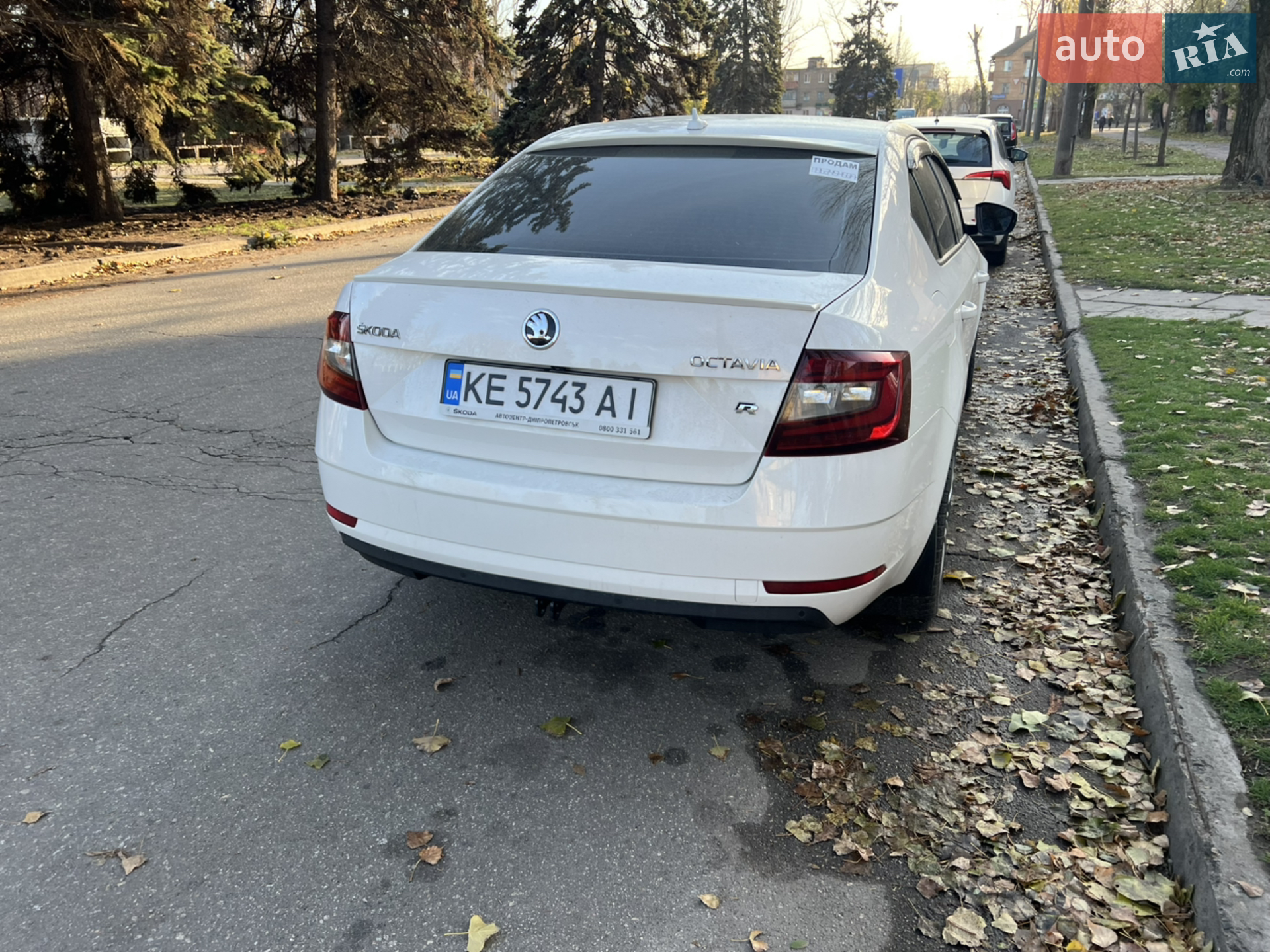 2017 Skoda Octavia - мініатюра 6