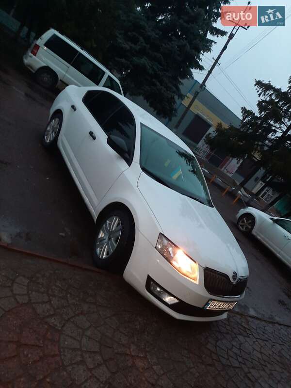 Лифтбек Skoda Octavia 2015 в Кривом Озере