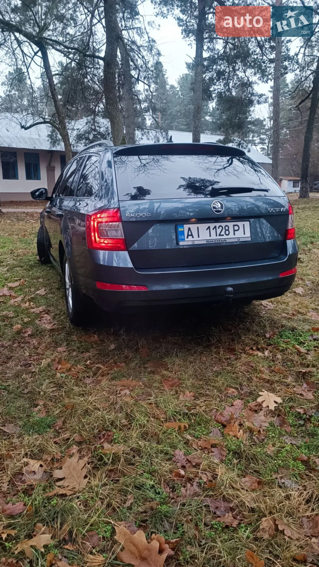 2016 Skoda Octavia - мініатюра 4