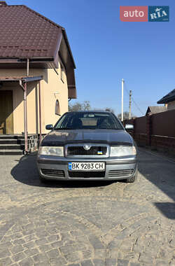 Универсал Skoda Octavia 2002 в Костополе