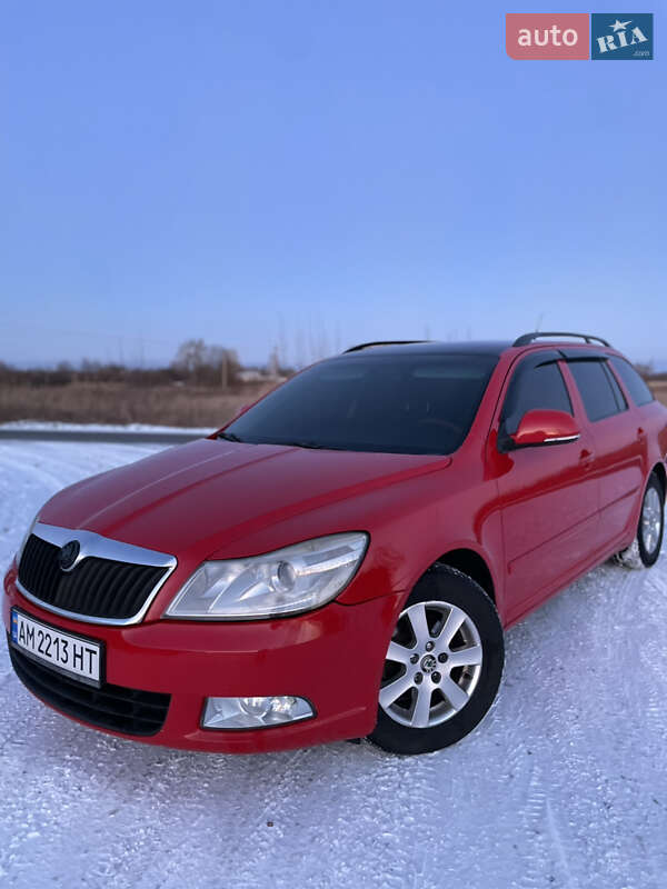Универсал Skoda Octavia 2009 в Овруче